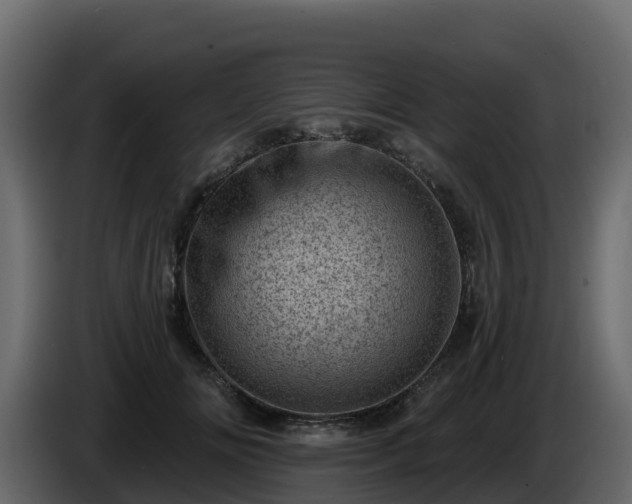 X0000085800702200703231330