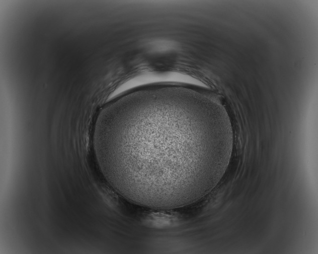 X0000085800703200703231330