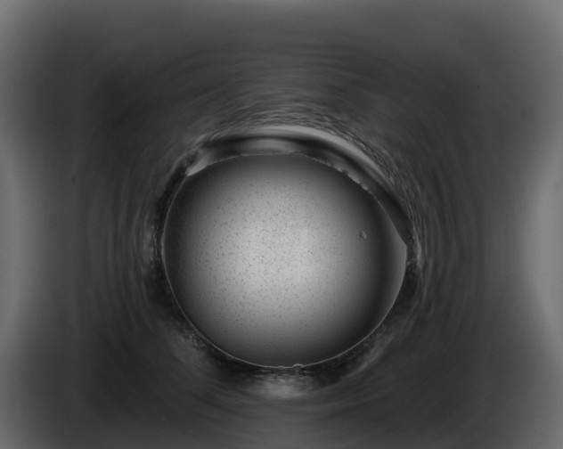 X0000085800708200703231330