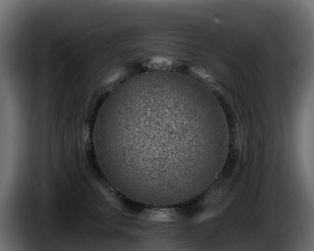 X0000085800711200703231330