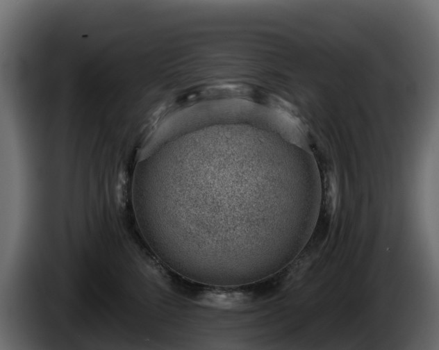 X0000085800712200703231330