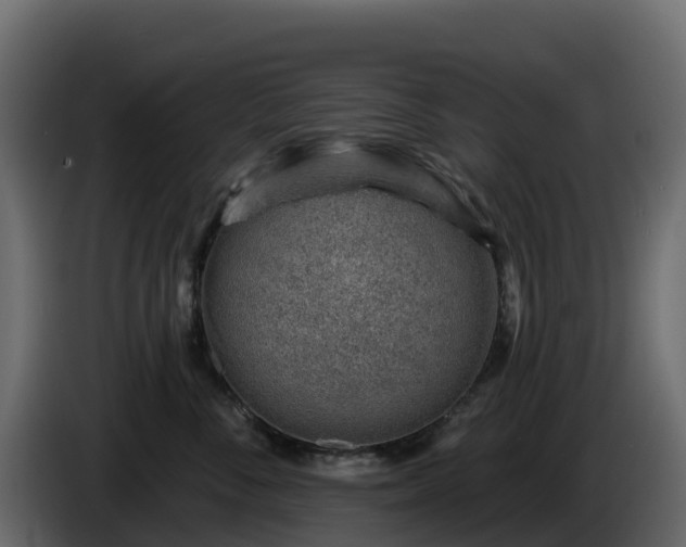 X0000085800716200703231330