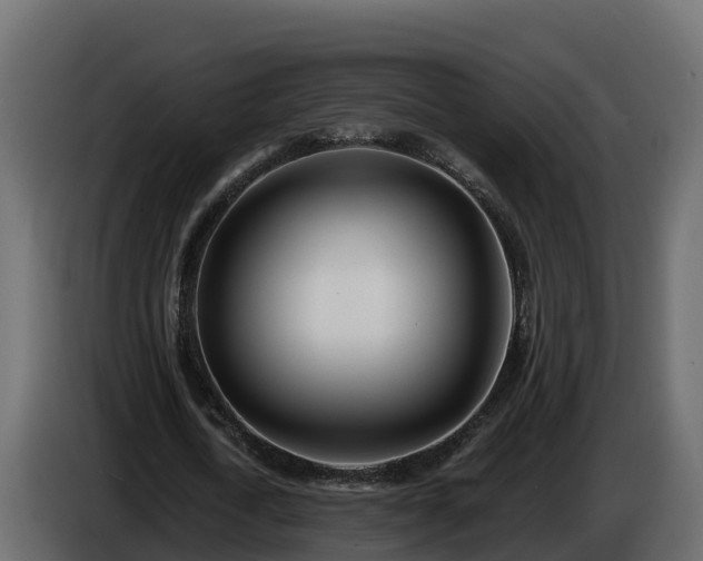 X0000085800722200703231329
