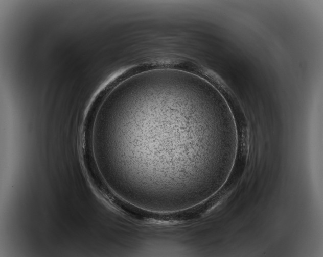 X0000085800726200703231329
