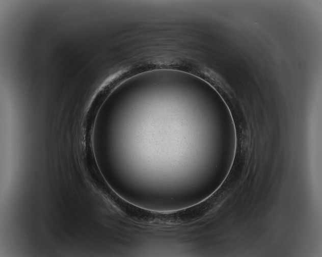 X0000085800727200703231329