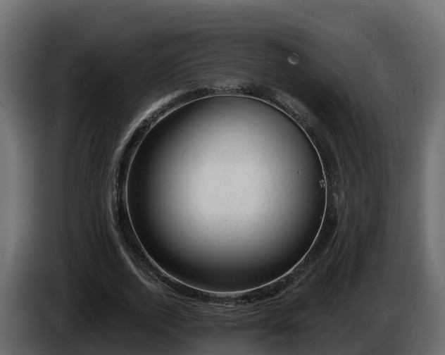 X0000085800728200703231329