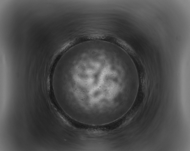 X0000085800729200703231329