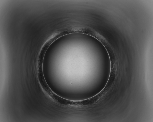 X0000085800730200703231329
