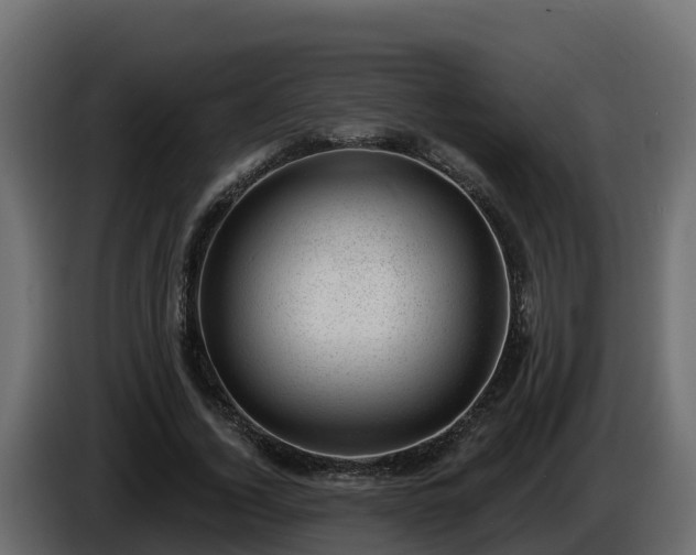 X0000085800732200703231329