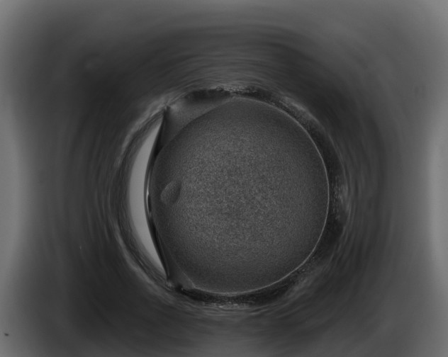X0000085800734200703231329