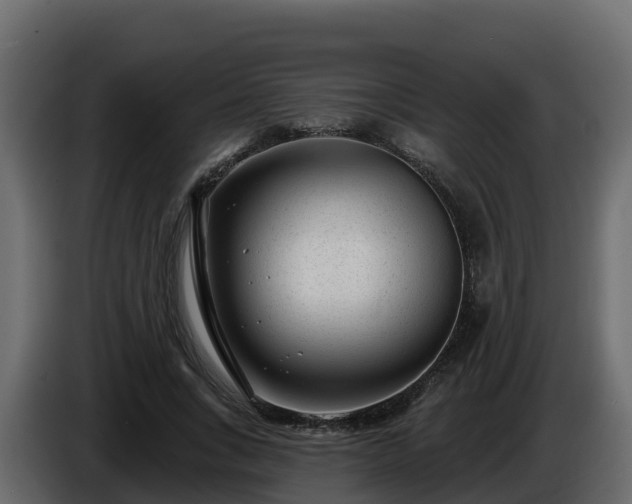 X0000085800735200703231330