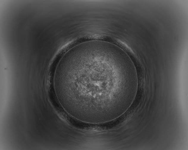 X0000085800736200703231330
