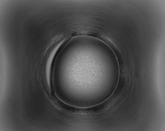 X0000085800738200703231330
