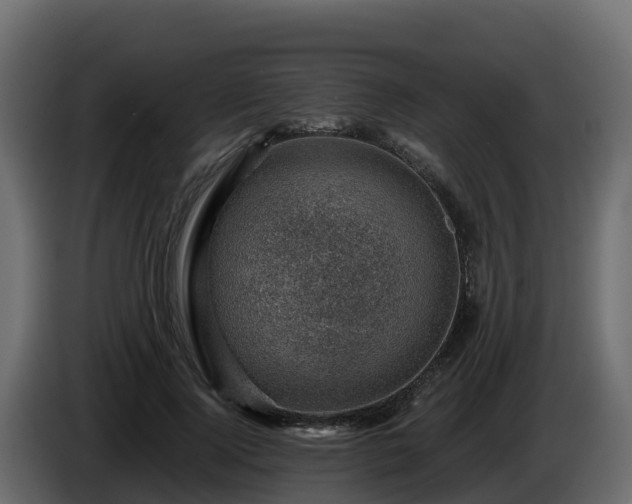 X0000085800740200703231330