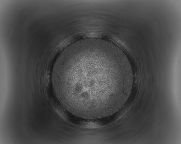 X0000085800741200703231330