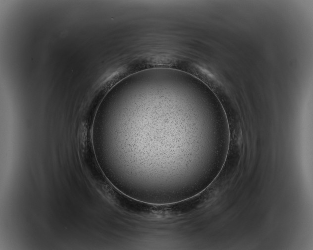 X0000085800744200703231330