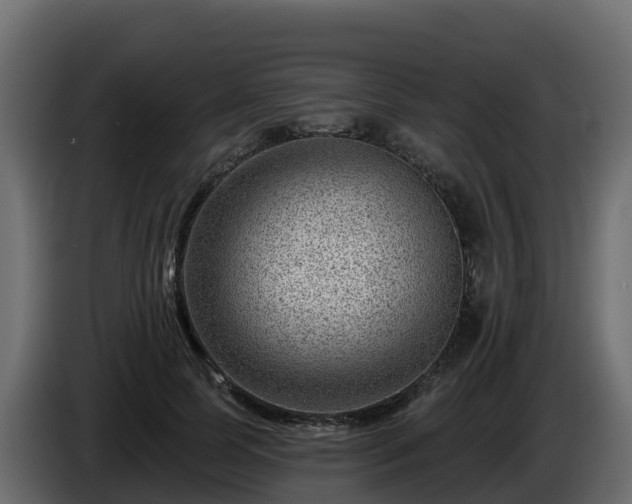 X0000085800745200703231330