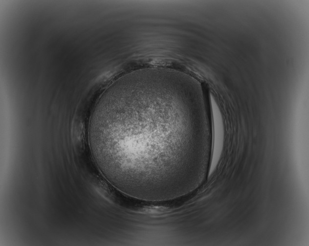 X0000085800748200703231330