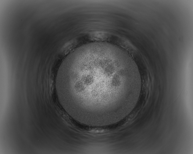 X0000085800749200703231330