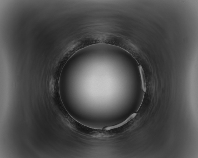 X0000085800750200703231330