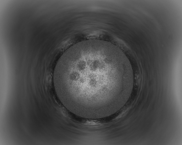 X0000085800753200703231330