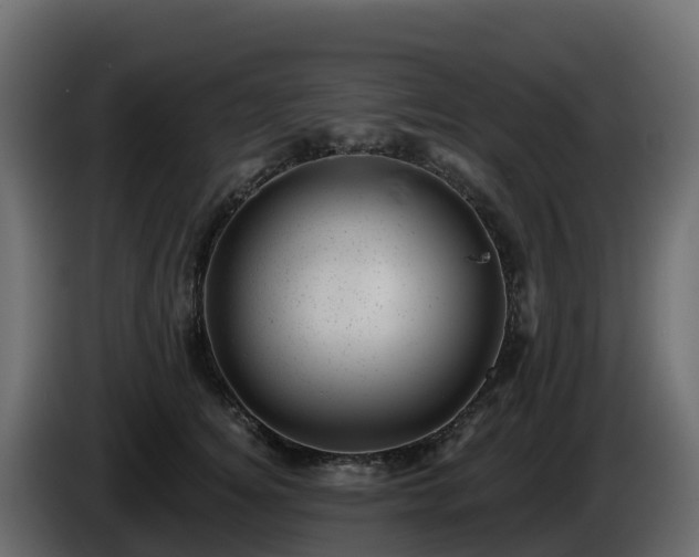 X0000085800756200703231330