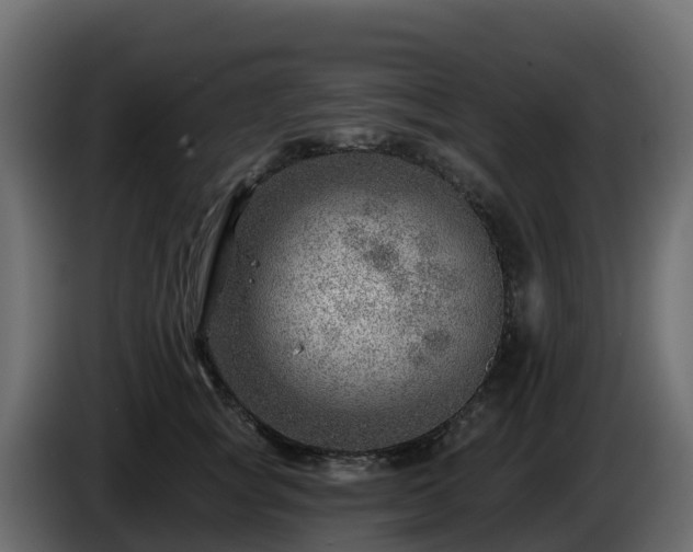 X0000085800757200703231330