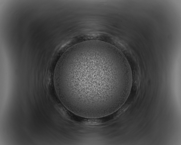 X0000085800758200703231330
