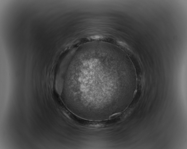 X0000085800760200703231330