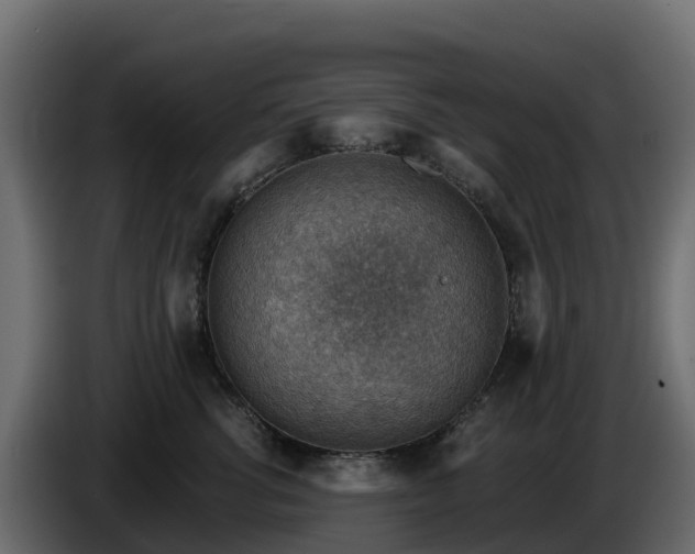 X0000085800762200703231330