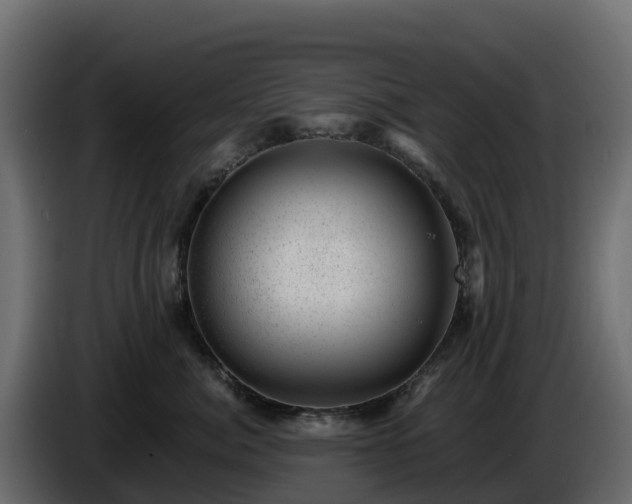 X0000085800764200703231330