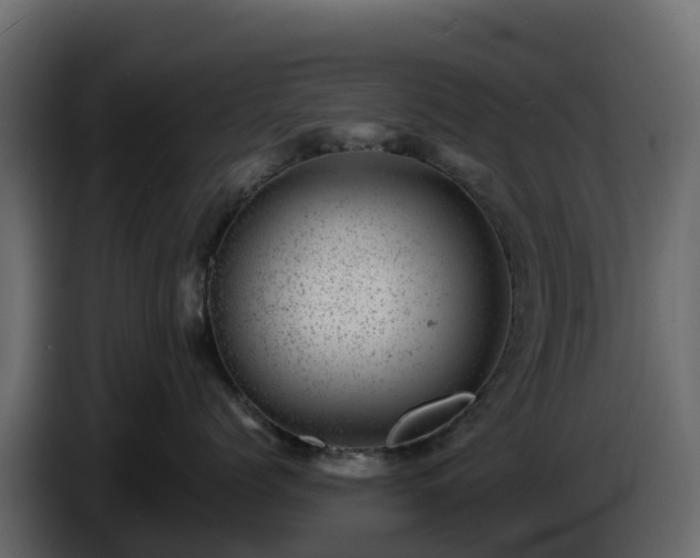 X0000085800768200703231330