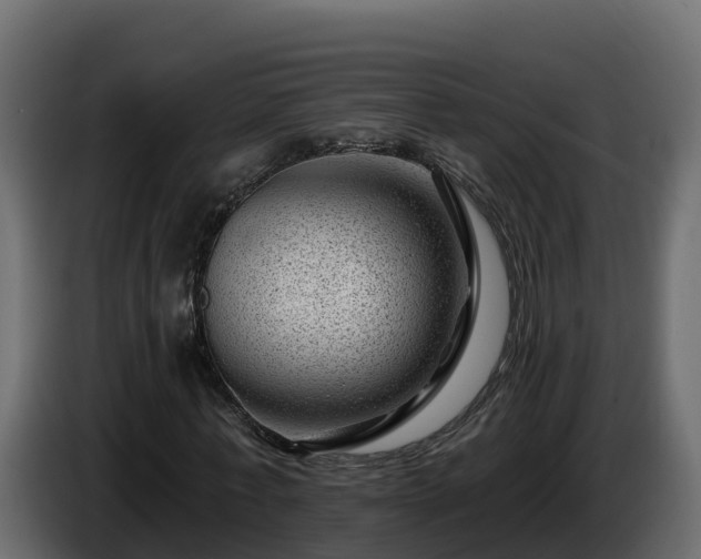 X0000085800771200703231329