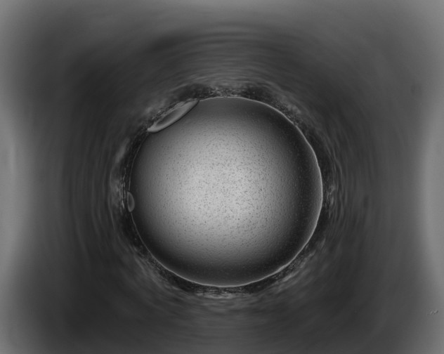 X0000085800772200703231329