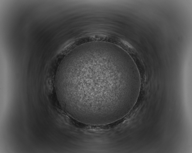 X0000085800774200703231329