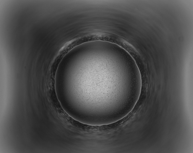 X0000085800776200703231329
