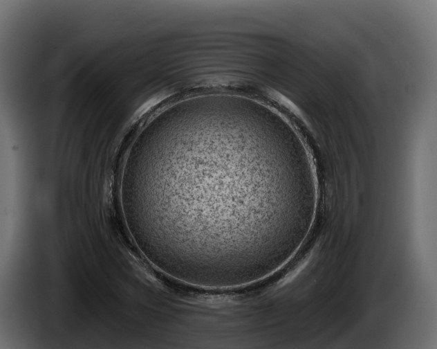X0000085800778200703231329