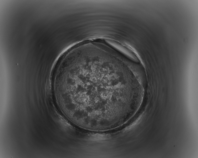 X0000085800779200703231329