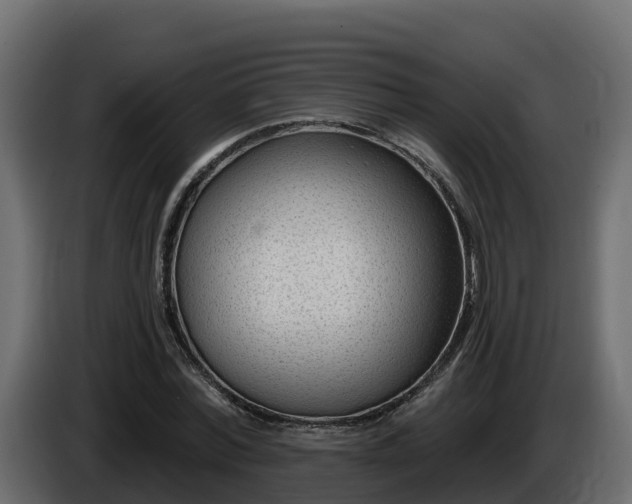 X0000085800780200703231329