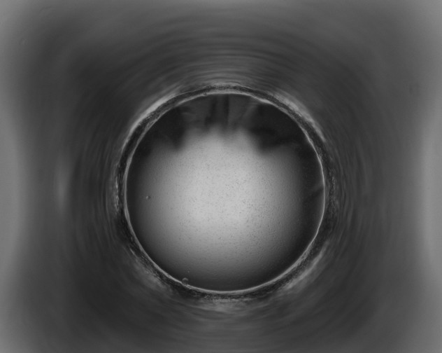 X0000085800782200703231329