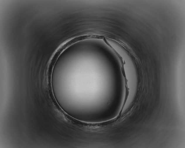 X0000085800784200703231329
