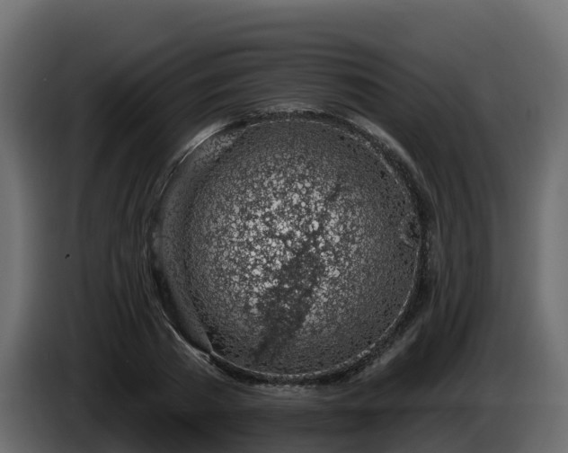X0000085800785200703231329
