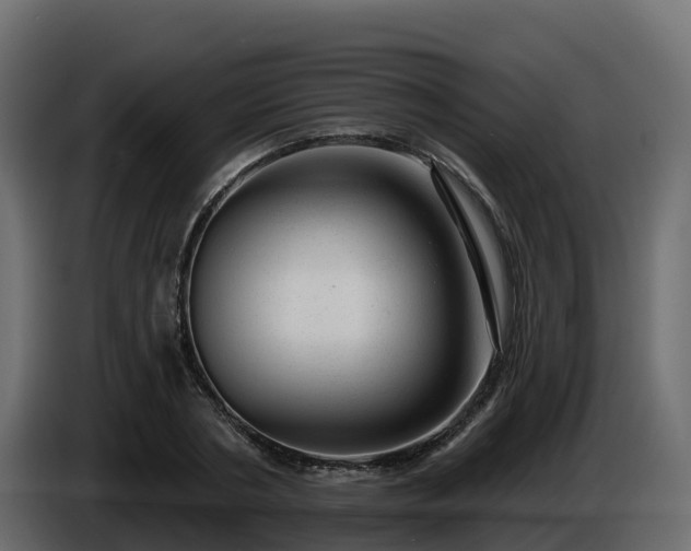 X0000085800786200703231329