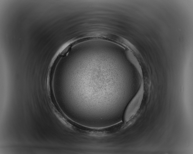 X0000085800788200703231329