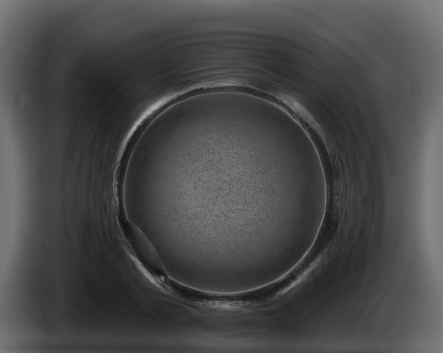 X0000085800789200703231329