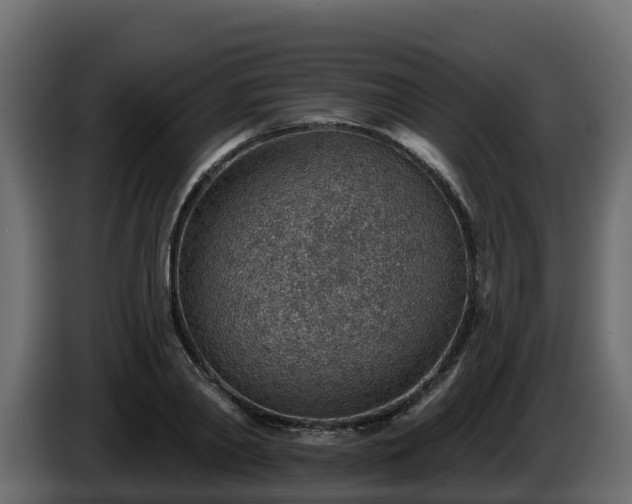 X0000085800790200703231329