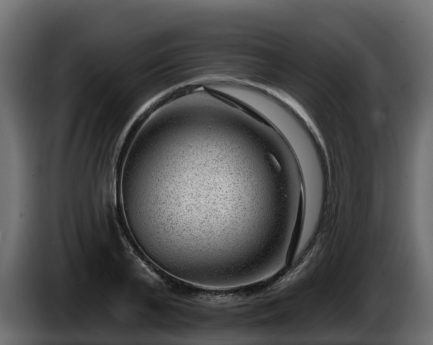 X0000085800791200703231329