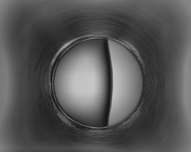 X0000085800792200703231329