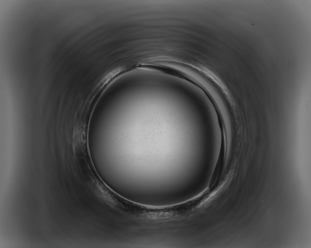 X0000085800793200703231329