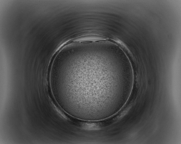 X0000085800794200703231329
